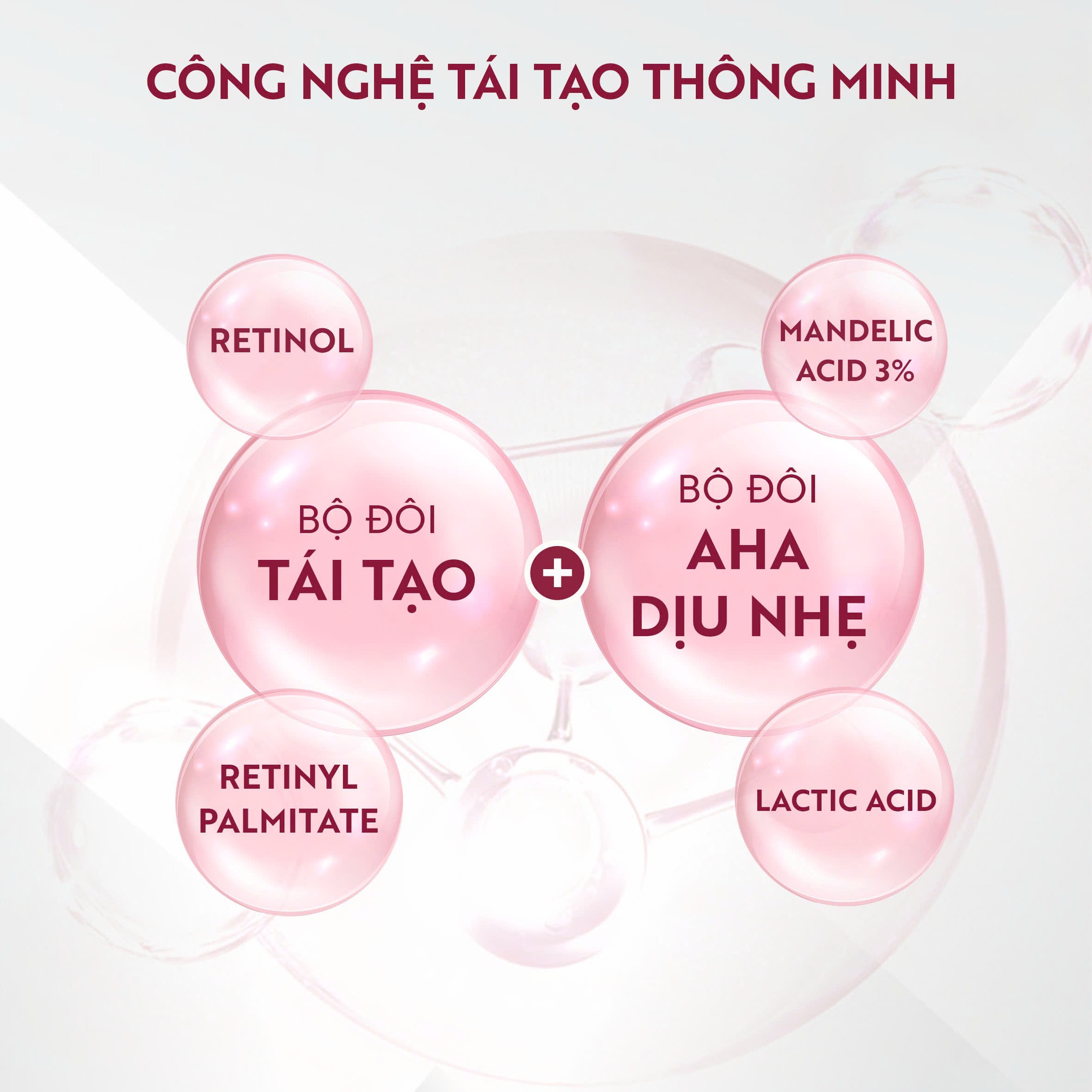 572342853_122159142524613524_2570898330716447732_n 572342853 122159142524613524 2570898330716447732 n