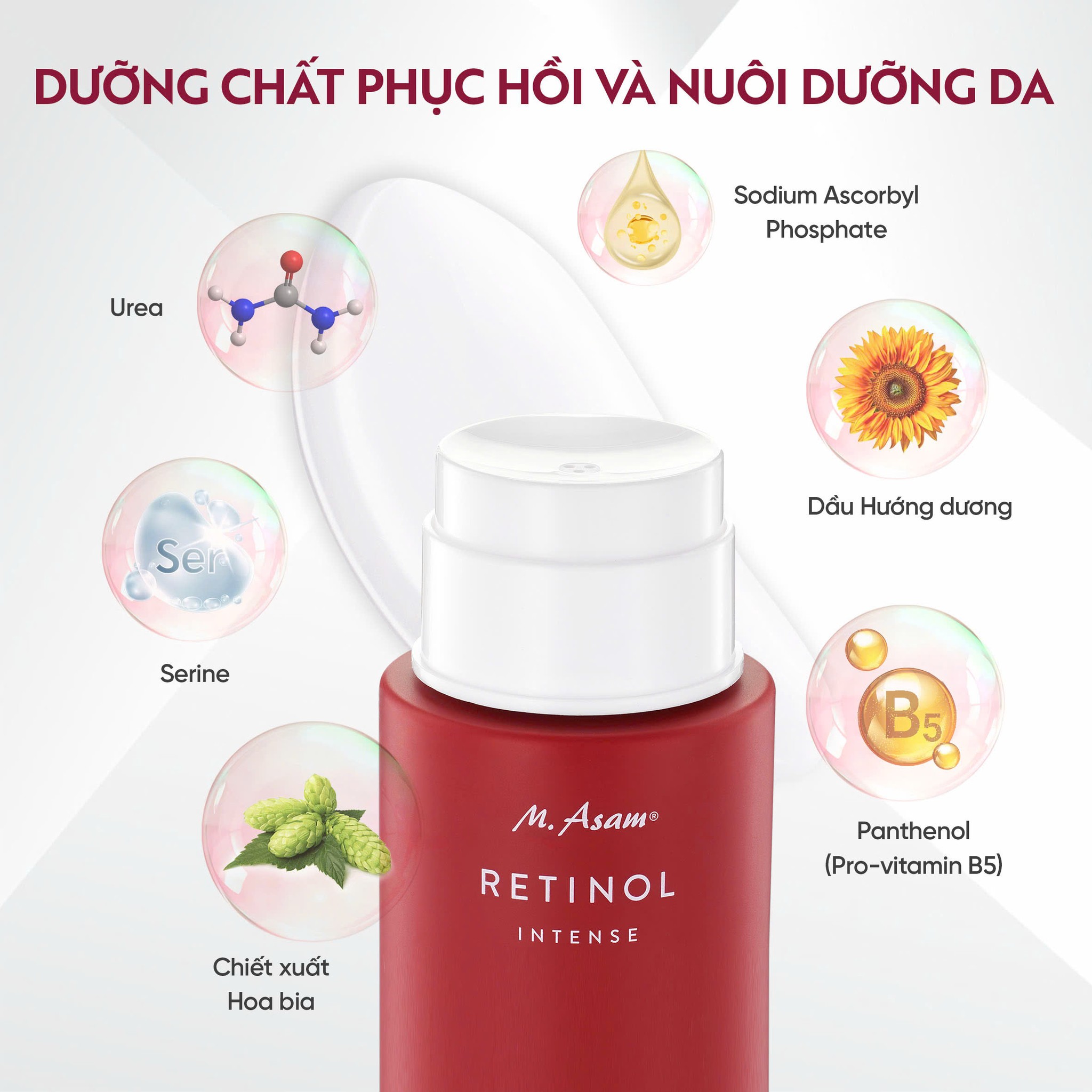 572383112_122159142482613524_6809366164305559962_n 572383112 122159142482613524 6809366164305559962 n