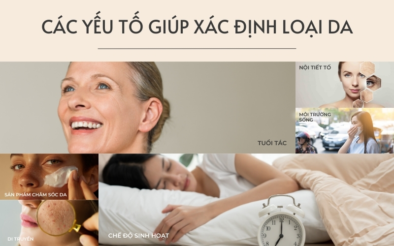 Yếu tố ảnh hưởng đến loại da